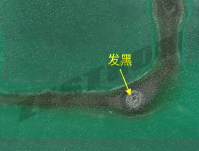 图1:显微镜环形光源下失效图片